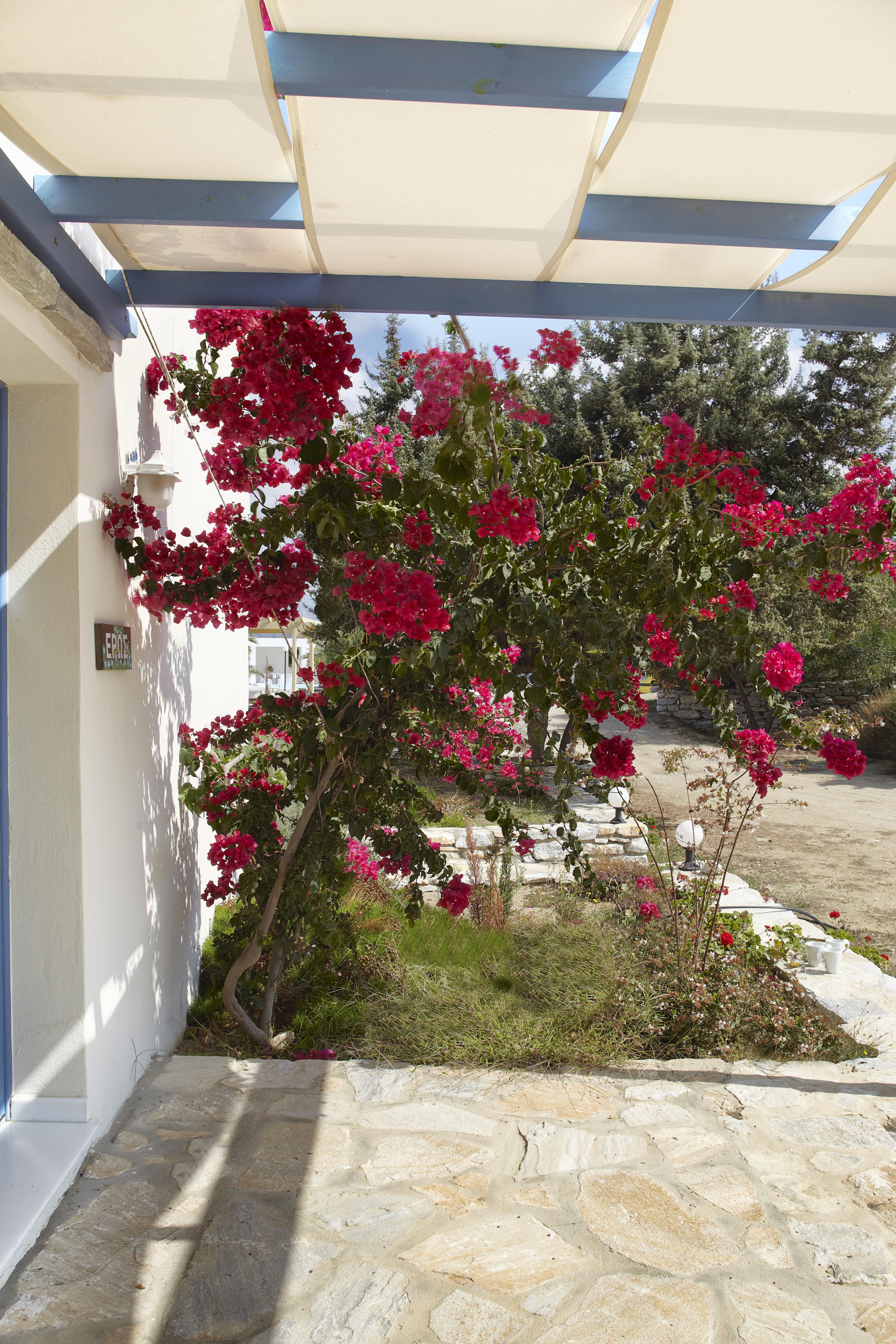 Kedros Villas Agios Prokopios  Luaran gambar