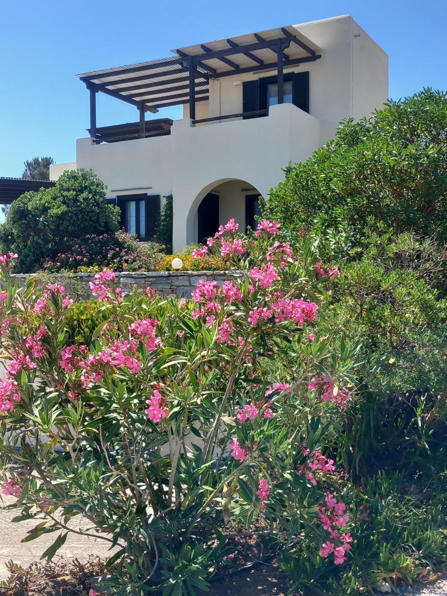 Kedros Villas Agios Prokopios  Luaran gambar