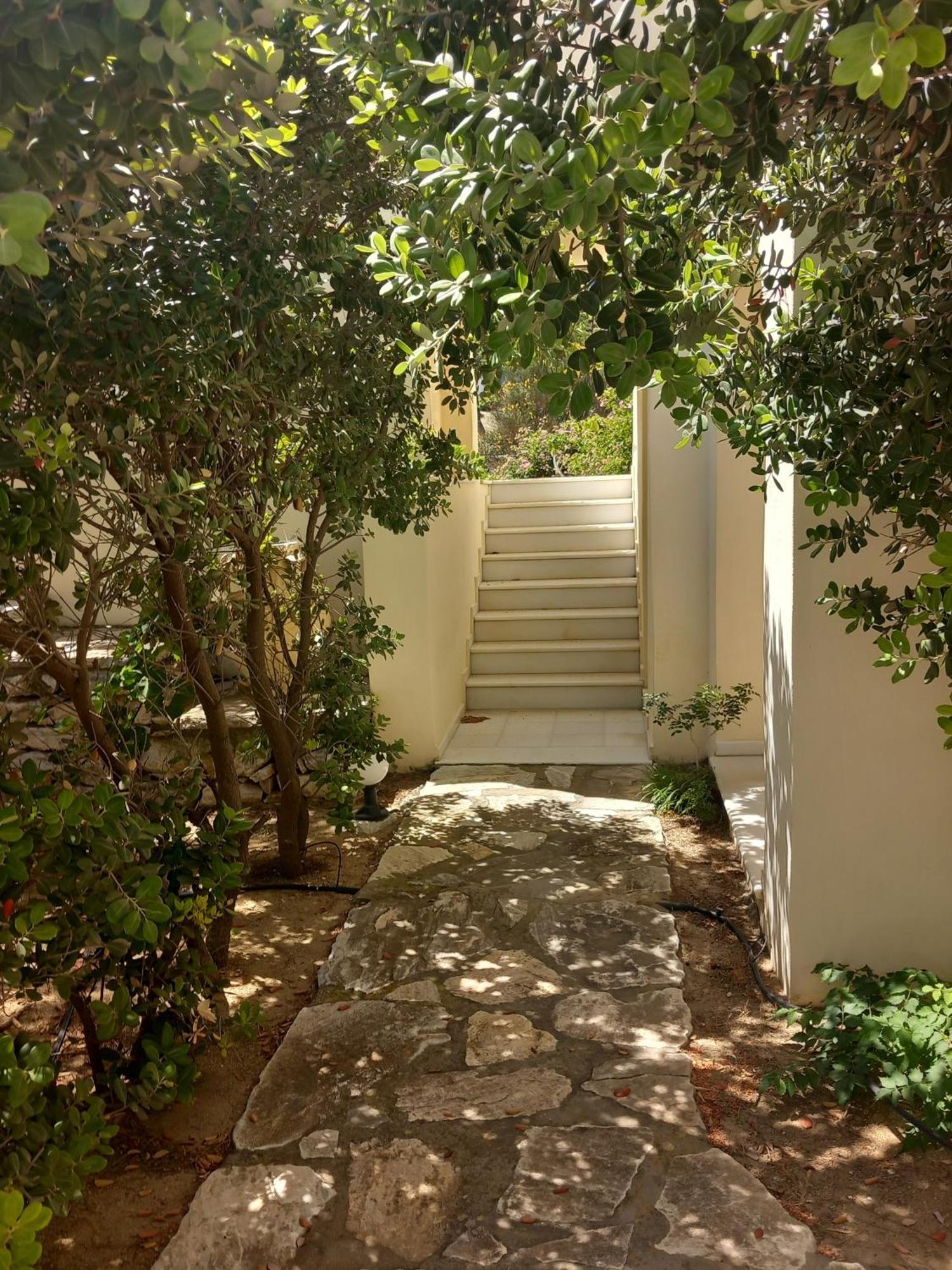 Kedros Villas Agios Prokopios  Luaran gambar