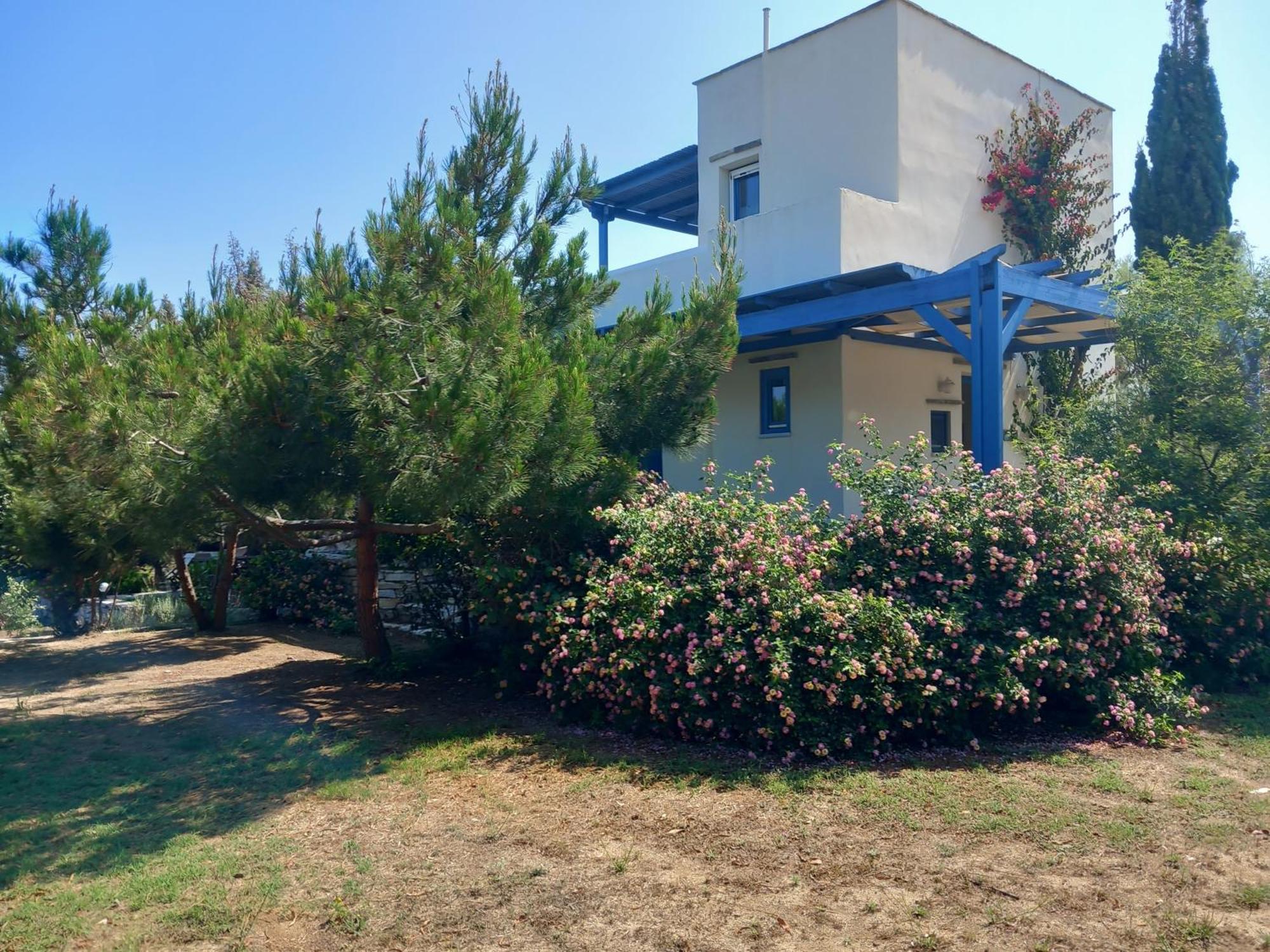 Kedros Villas Agios Prokopios  Luaran gambar