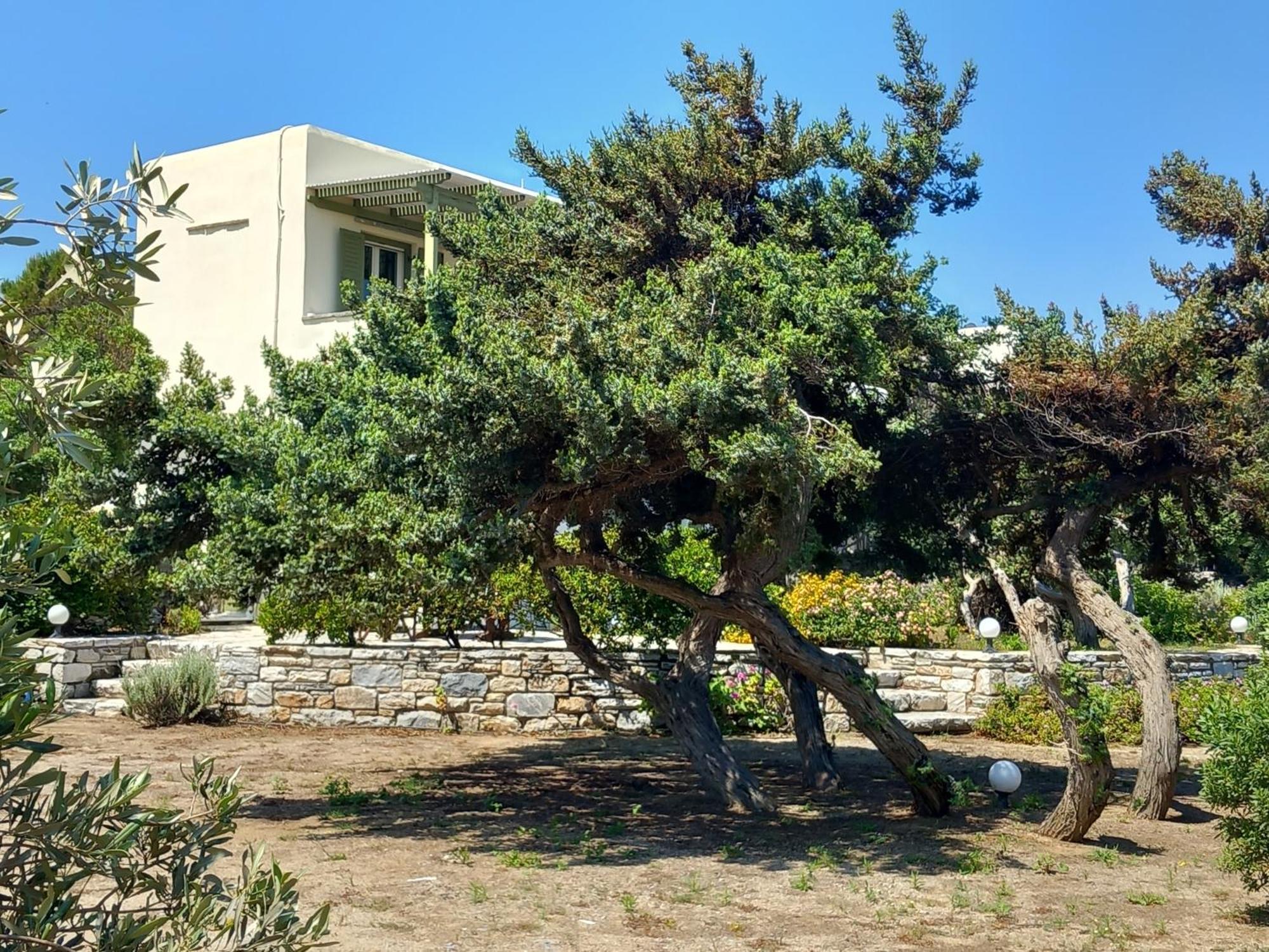 Kedros Villas Agios Prokopios  Luaran gambar